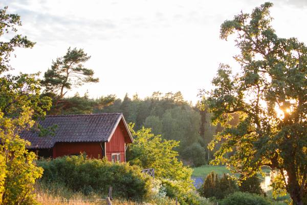 jante
